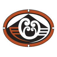 Te Kupenga Whakaoti Mahi Patunga / The National Network of Family Violence Services (NZ) Incorporated logo