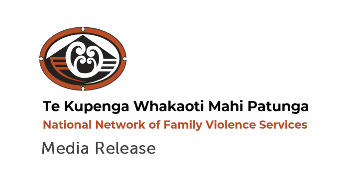 Govt should address systemic flaws in family violence response system